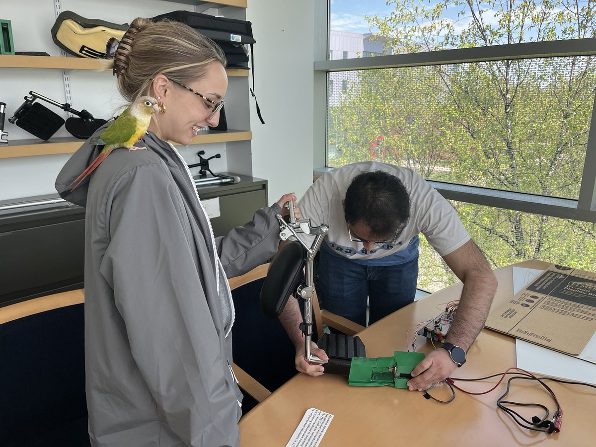KristenLabazzo's tweet photo. ONE MORE DAY until the @BMERutgers Senior Design Conference! Students have been working hard to get ready! @RutgersSOE https://t.co/ynvLKNO1oB