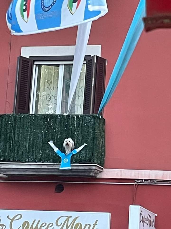 Me la segnalano da Fuorigrotta e io sto murenn

<a href="/sscnapoli/">Official SSC Napoli</a>