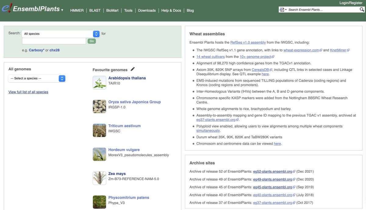ensembl's tweet photo. 5/ The Ensembl Plants site contains genome assemblies and annotations for agriculturally and environmentally important #crops and #plants (even algae)

👉 https://t.co/V6TG9fYPwS

🌻🌱🍇🍅 https://t.co/9ZItGiJjQw