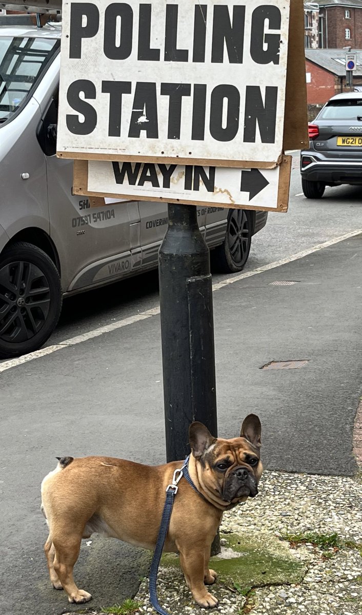 SarahH0lmes's tweet photo. Take Toby’s lead and vote for @EllenSt73129323 #LocalElections2023 #dogsatpollingstations https://t.co/ptT1RcaT3Y