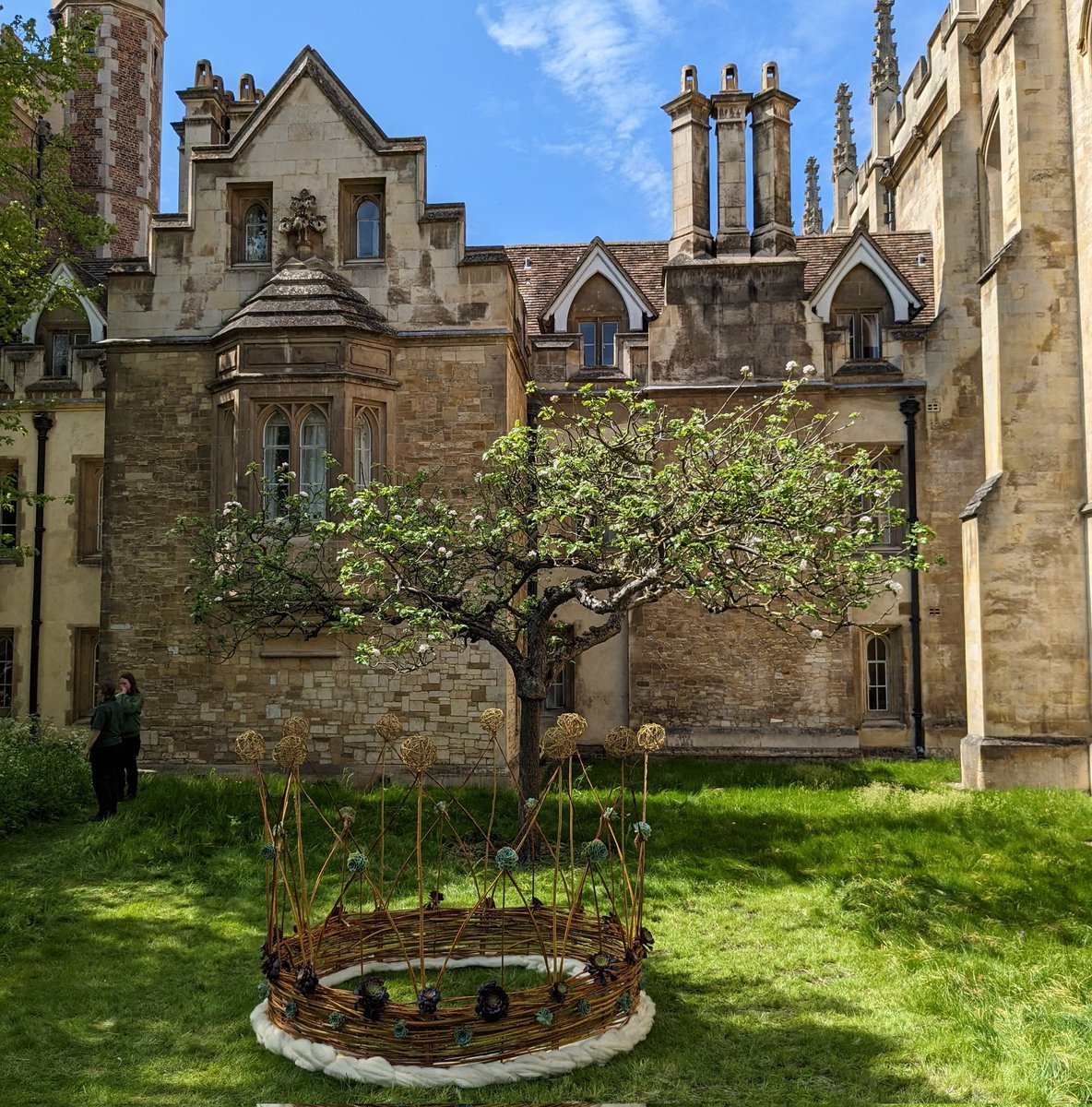 A crown has suddenly appeared in front of Trinity - underneath Newton's apple tree. Gravitas!