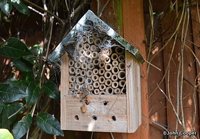 TheSuffolkMan's tweet image. #InsectThursday #BugBox