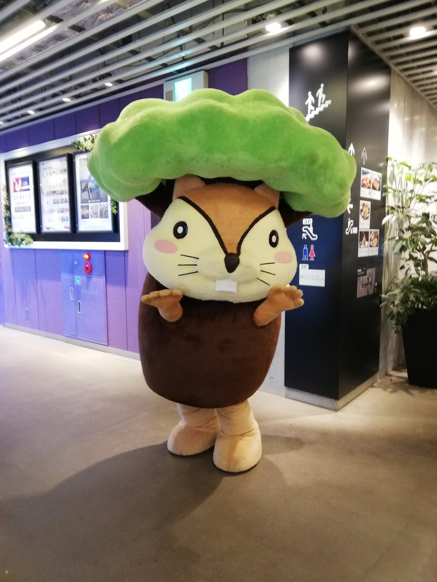 osamukana's tweet photo. ナッツくん
#お家へ帰る最後までやさしいナッツくん
#ナッツくん
#AKASE
#マスターウォール
#ランドオブマスターウォール横浜
#神奈川県横浜市 https://t.co/Y4FZpVU93v
