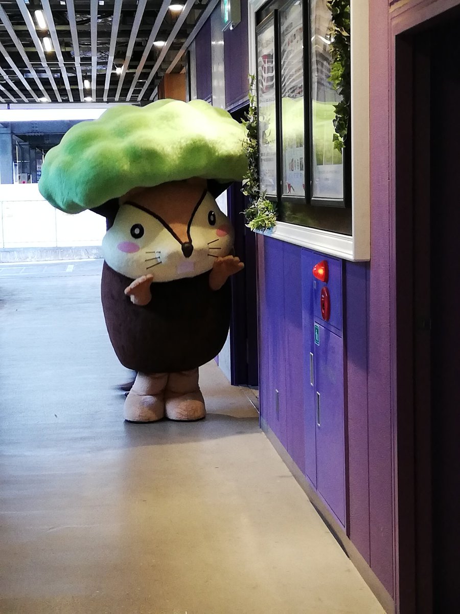 osamukana's tweet photo. ナッツくん
#お家へ帰る最後までやさしいナッツくん
#ナッツくん
#AKASE
#マスターウォール
#ランドオブマスターウォール横浜
#神奈川県横浜市 https://t.co/Y4FZpVU93v