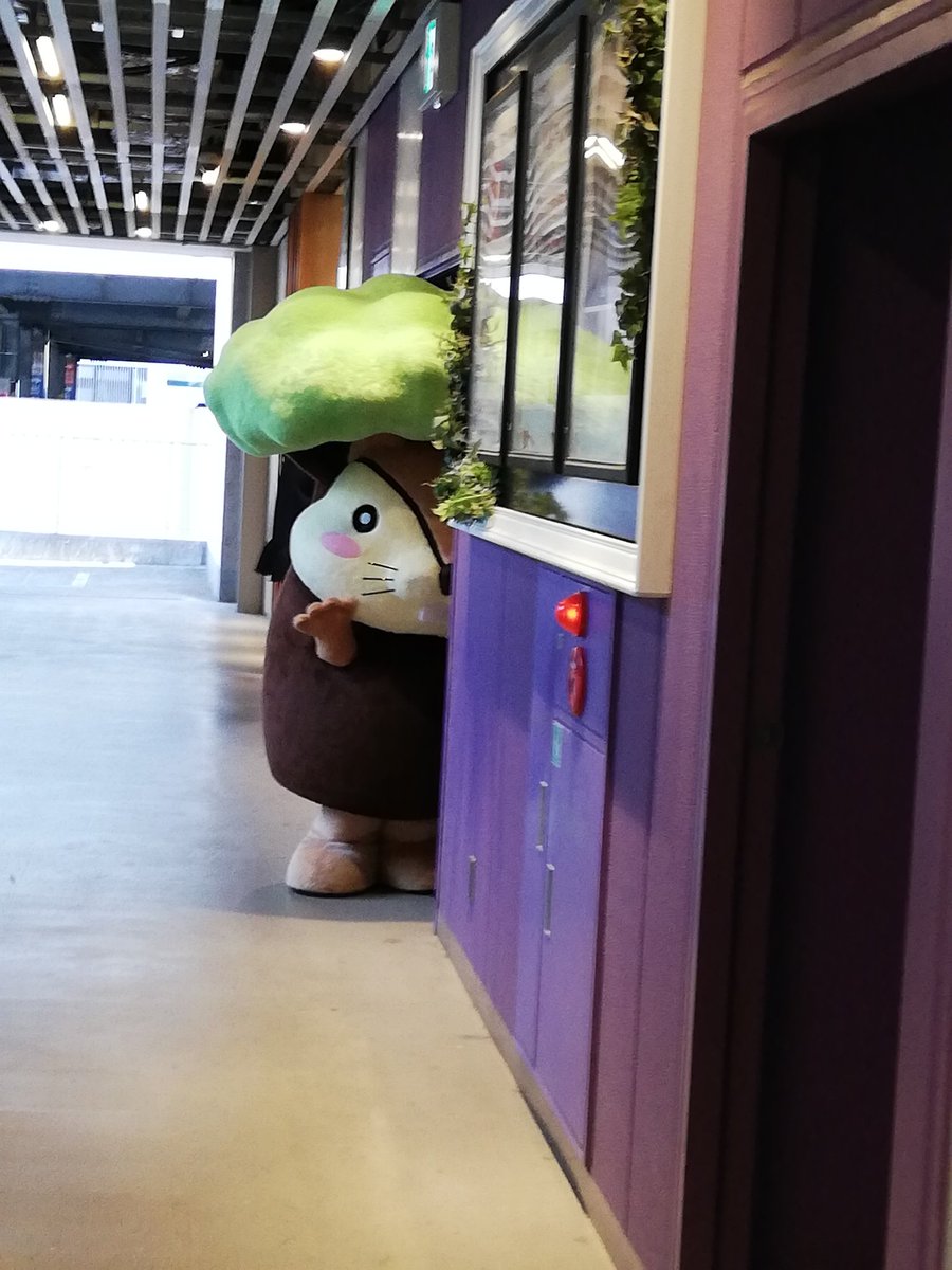 osamukana's tweet photo. ナッツくん
#お家へ帰る最後までやさしいナッツくん
#ナッツくん
#AKASE
#マスターウォール
#ランドオブマスターウォール横浜
#神奈川県横浜市 https://t.co/Y4FZpVU93v