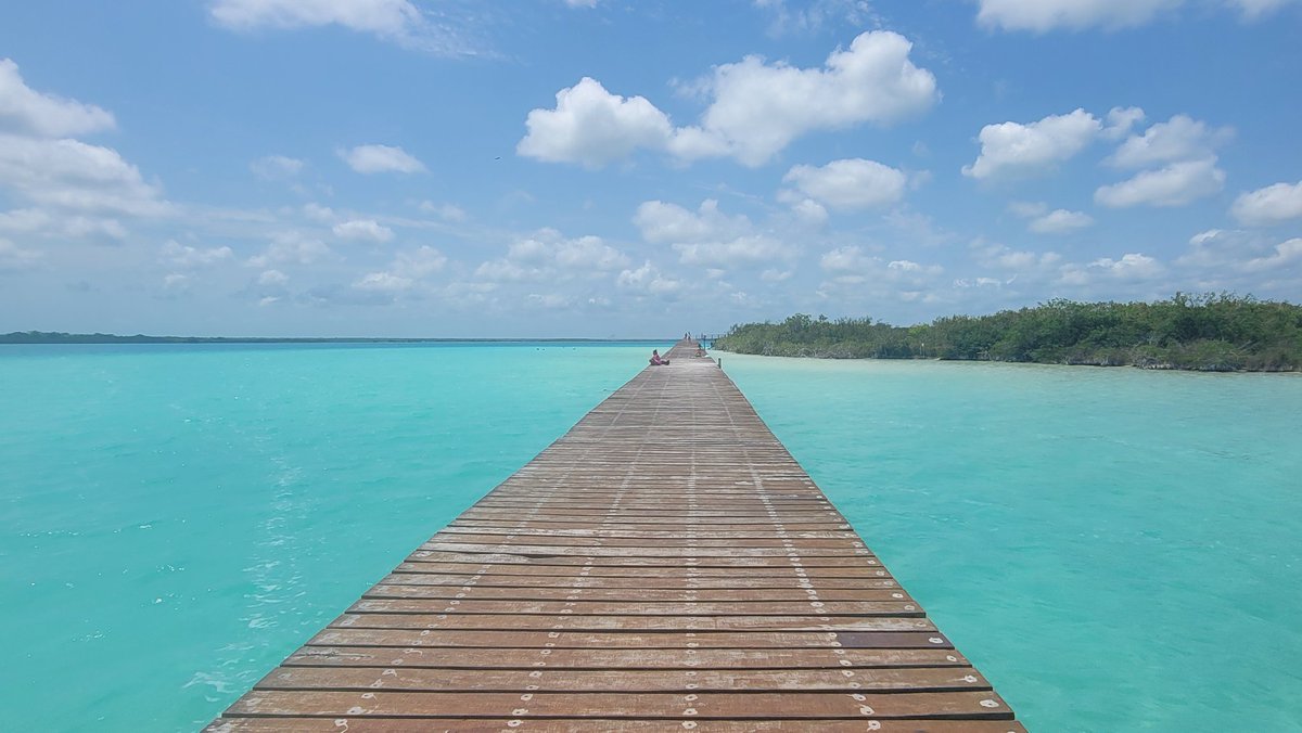 raw9371's tweet photo. Mexico's Yucatán has been a breathtaking experience. I am absolutely in love with it. Only two more days left. :-(
Also, stomatolites are present which are natural wonders of our planet. 
#teamraw #rawlab #Yucatán
#stomatolites #microbialites https://t.co/mm8tsisy3K