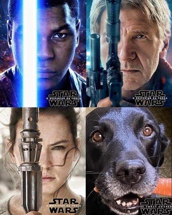 Hoppers Jewellers tweet media