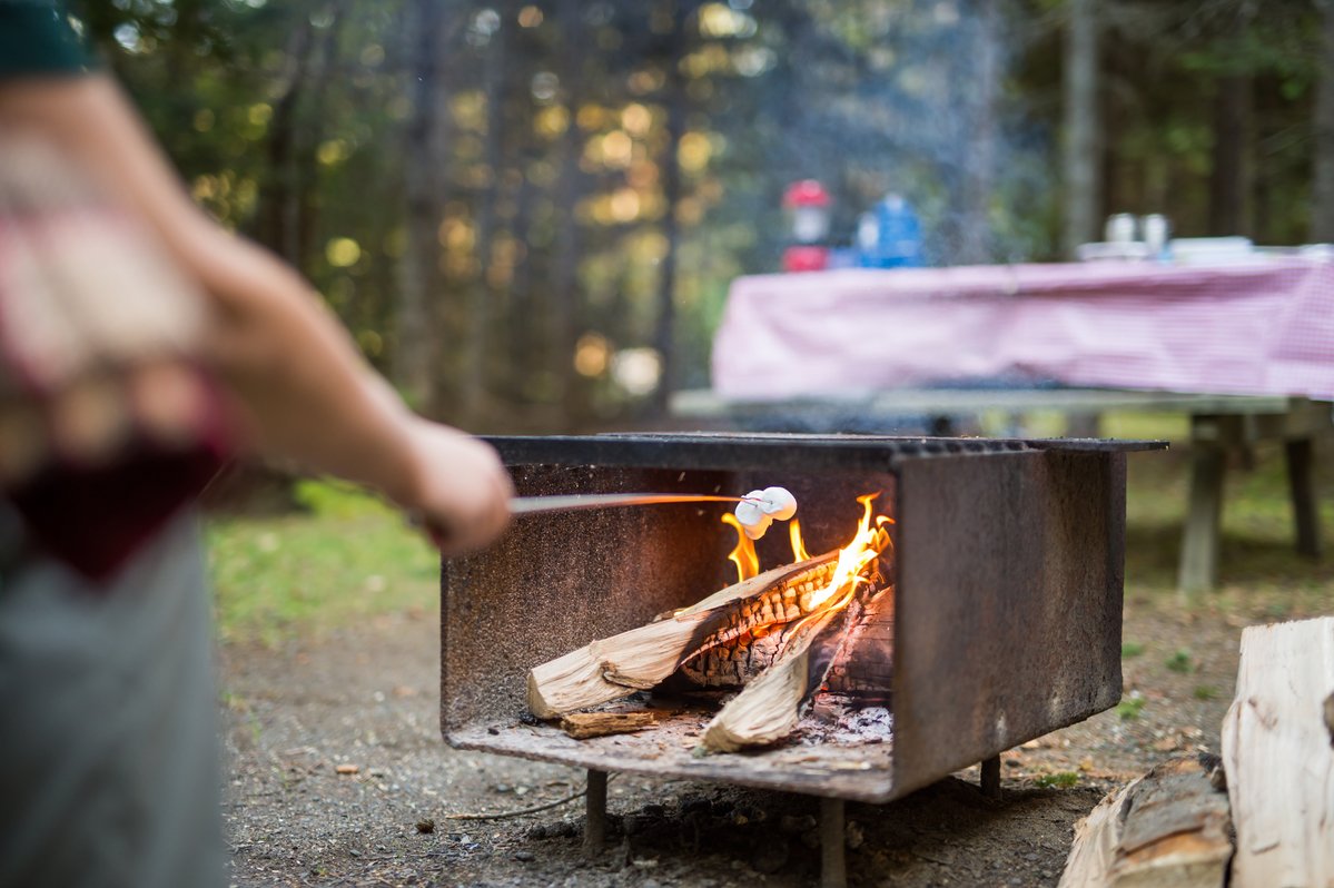 Having a campfire is a beloved part of camping!🔥
Before you start making s'mores, have a look at these fire safety tips from #TerraNovaNP: ow.ly/EaC350Oae7H