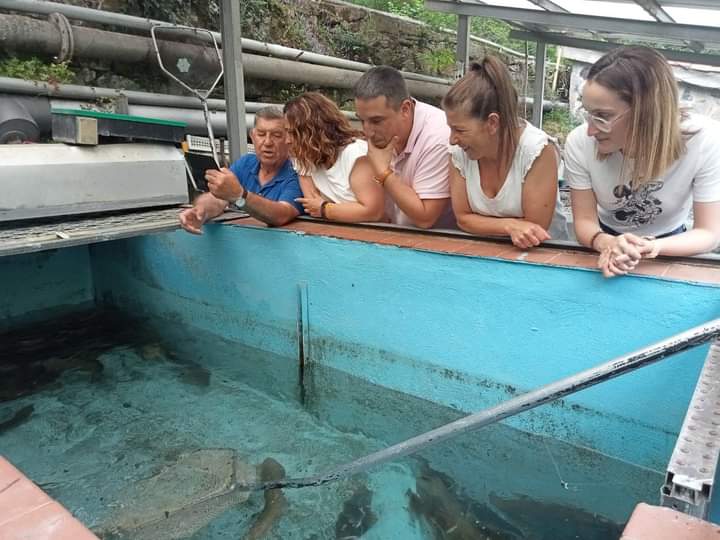 pp_aller tweet media