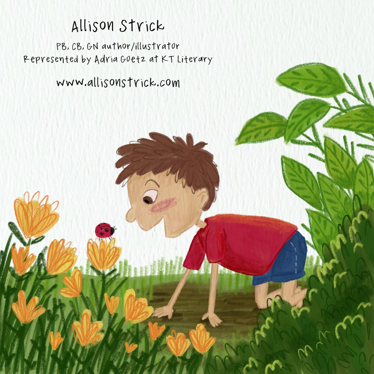 Allison Strick tweet media