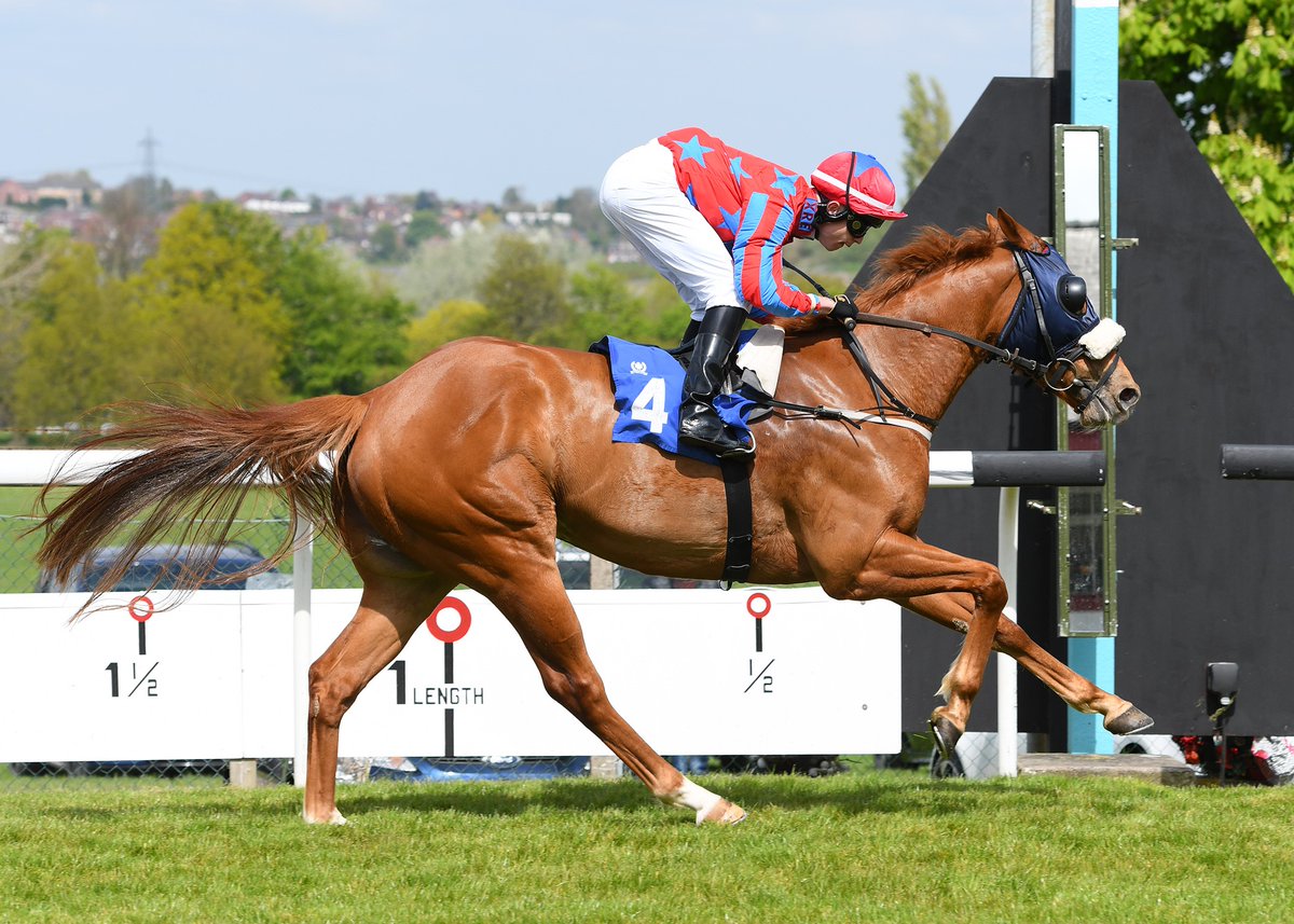 Congrats to Christian Howarth who landed round three of the GRIY Future Stars Apprentice Series, supported by @WRSaddlery at @ponteraces, riding Reigning Profit, for 'The Chancers', trained by @RuthCarr1. Read the report on our website. goracing.co.uk/reigning-profi… 📷Alan Wright