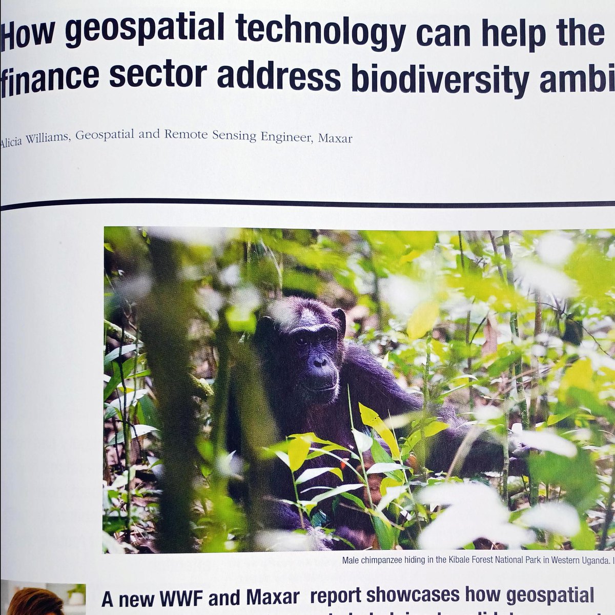 CharteredICES's tweet image. It's landed!
This year's #GeospatialEngineering should be through your letterbox imminently 📬
Digital version coming soon, or grab a copy from us @GEOBusinessShow! 🤝
#geospatial #GeospatialTechnology #GeospatialSurveying #GeospatialData #GeoBusiness #engineering