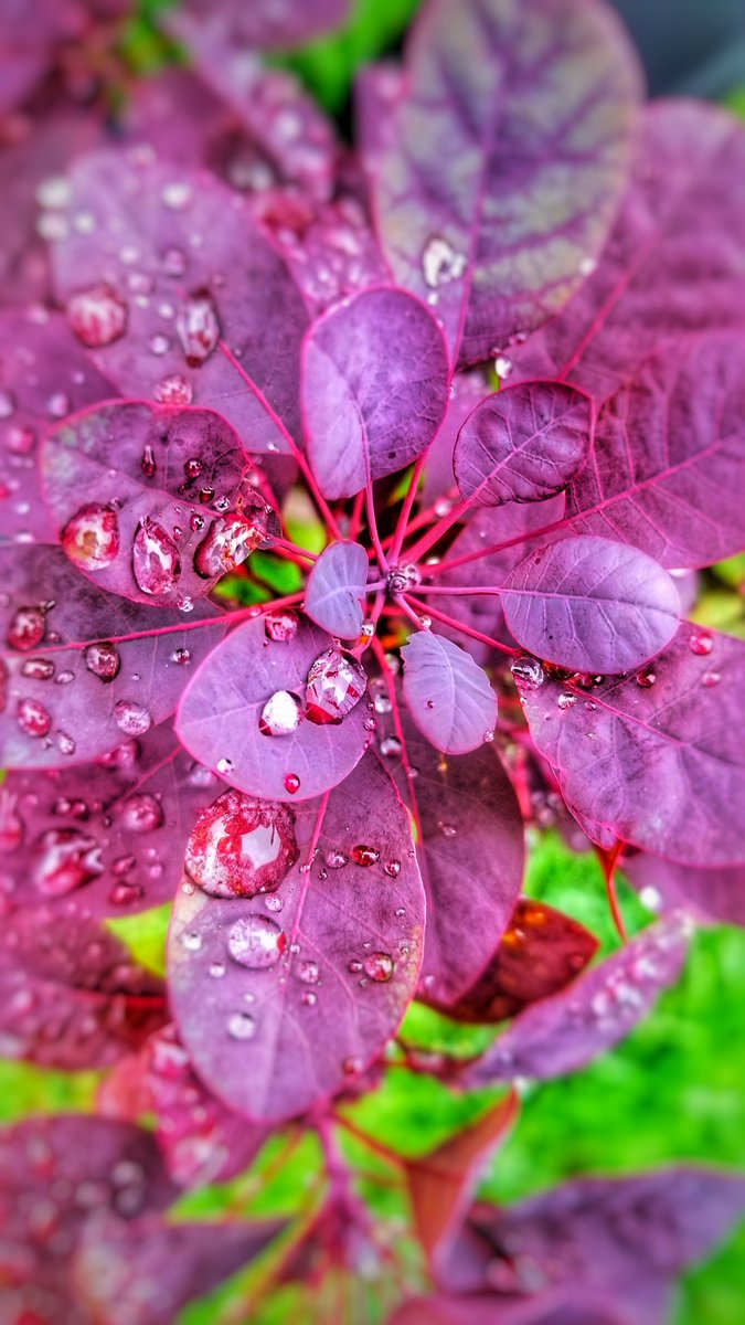 Here's some natural beauty for all the moms and mother figures out there. Mother Earth gets it!   

Happy #MothersDay!💐