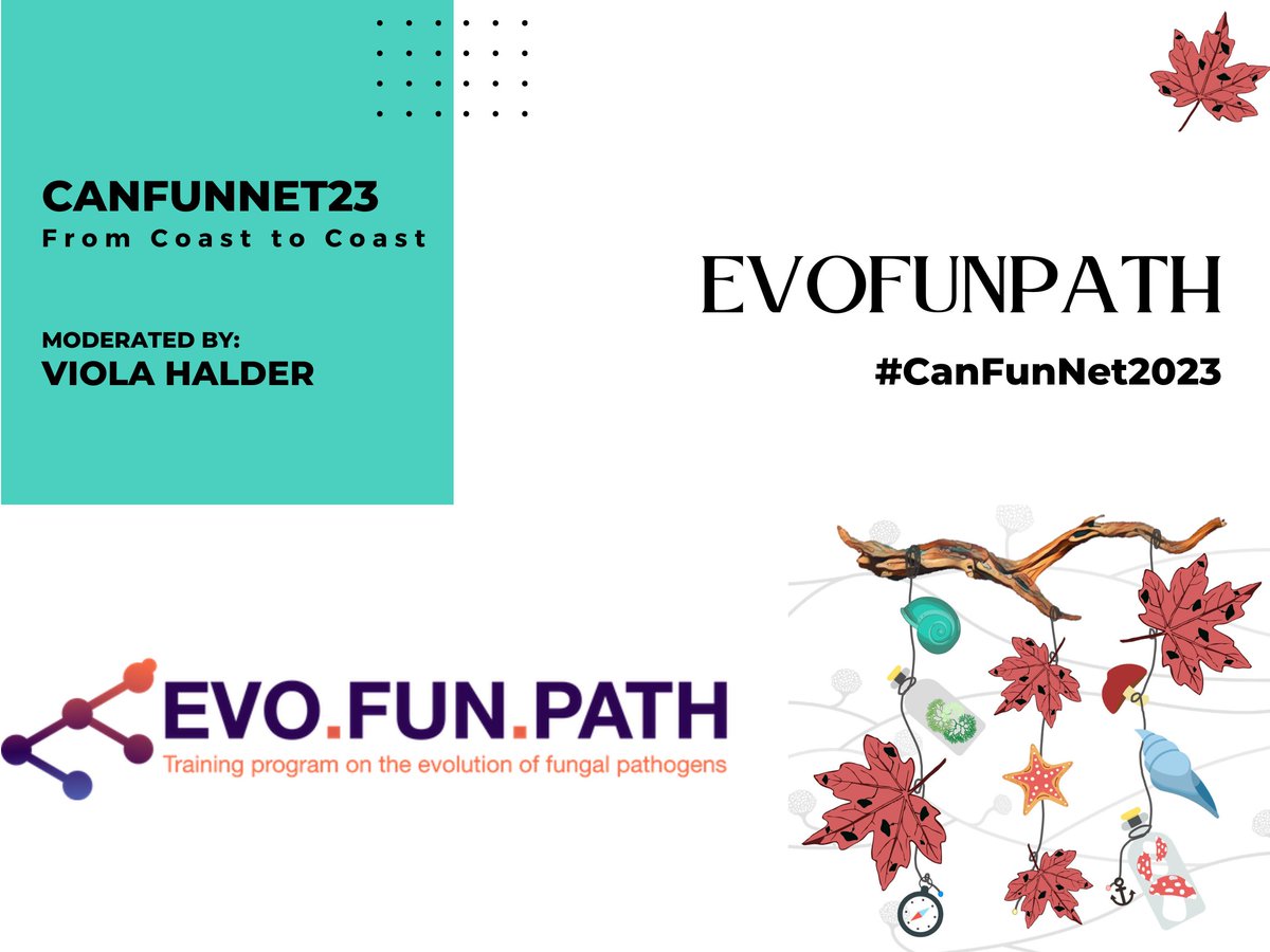 Do you want to learn more about evolutionary fungal pathogens? Join Viola Halder as she moderates our #EvoFunPath session highlighting researchers from <a href="/evofunpath/">@EvoFunPath</a> 🍄🍁🇨🇦. Register today for #CanFunNet23 (and make it the best #StarWarsDay #MayThe4thBeWithYou)