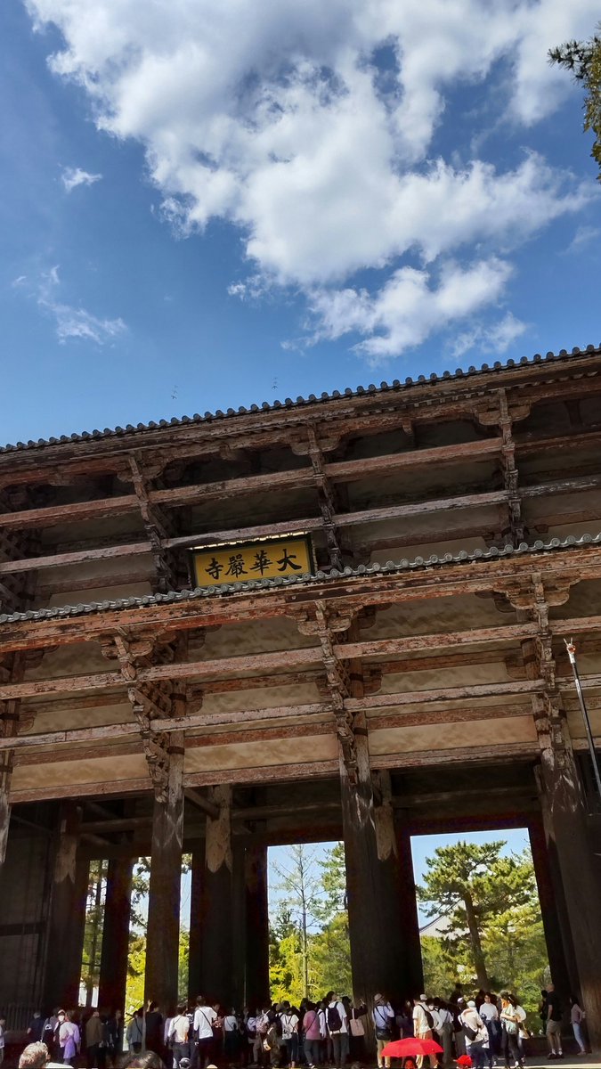 4年振りの奈良旅…楽しかったー