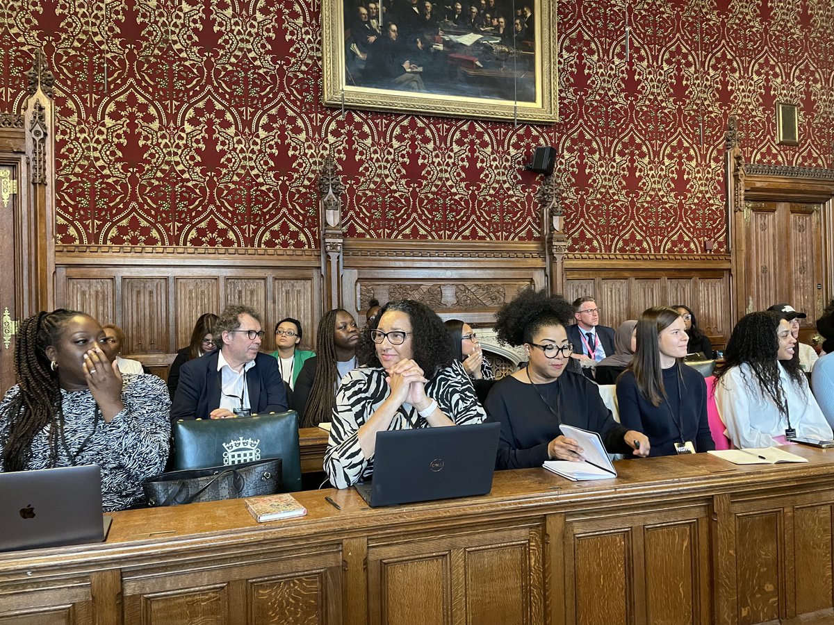 appg_bmh's tweet photo. Thank you again to the MPs, campaigners and health professionals that attended last week's meeting in Parliament, to our secretariat @fivexmore for organising and our Chair @BellRibeiroAddy for hosting #bhmaw23

Make sure to sign up for our next meeting! #BlackMaternalHealth https://t.co/L5PpXFBoWQ