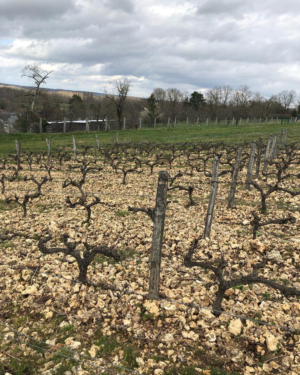 letastingroom's tweet photo. What's been going on in April 2023? - https://t.co/QU9KUdIhbq https://t.co/C3RHkLKLTP