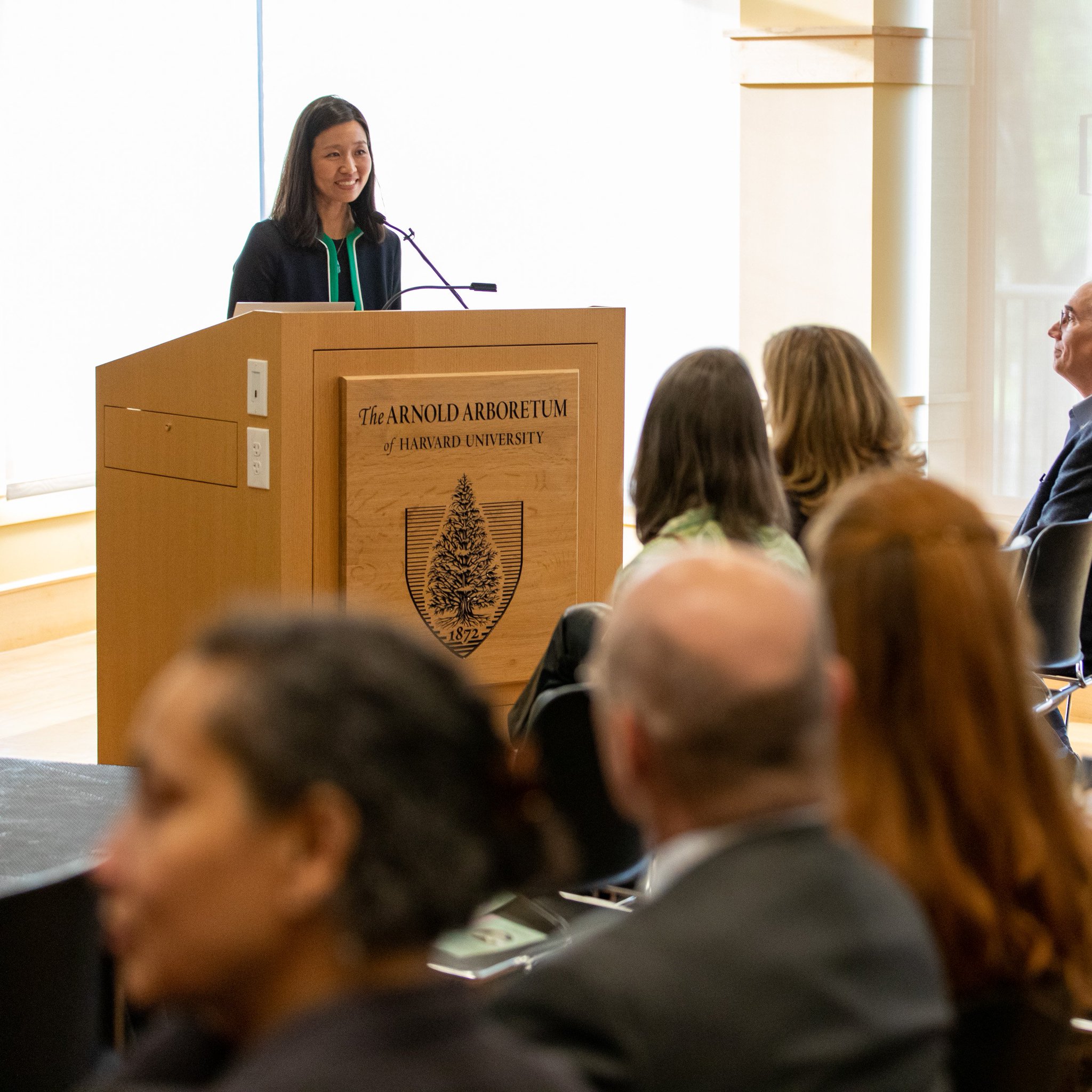 Mayor Michelle Wu 吳弭 On Twitter Trees Are One Of Our Most Valuable