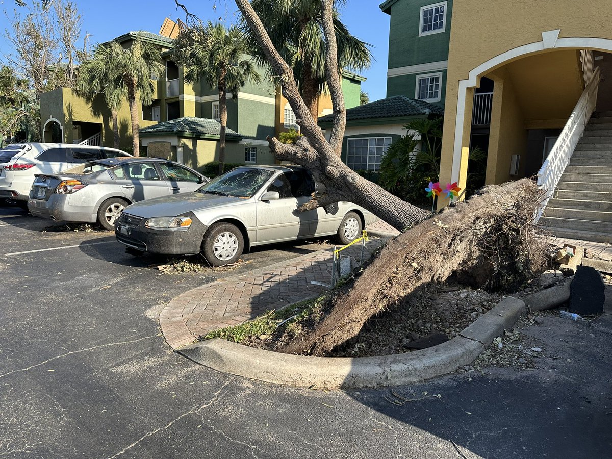 Dani Travis on Twitter "Ripped up roofs, smashed in cars, & uprooted