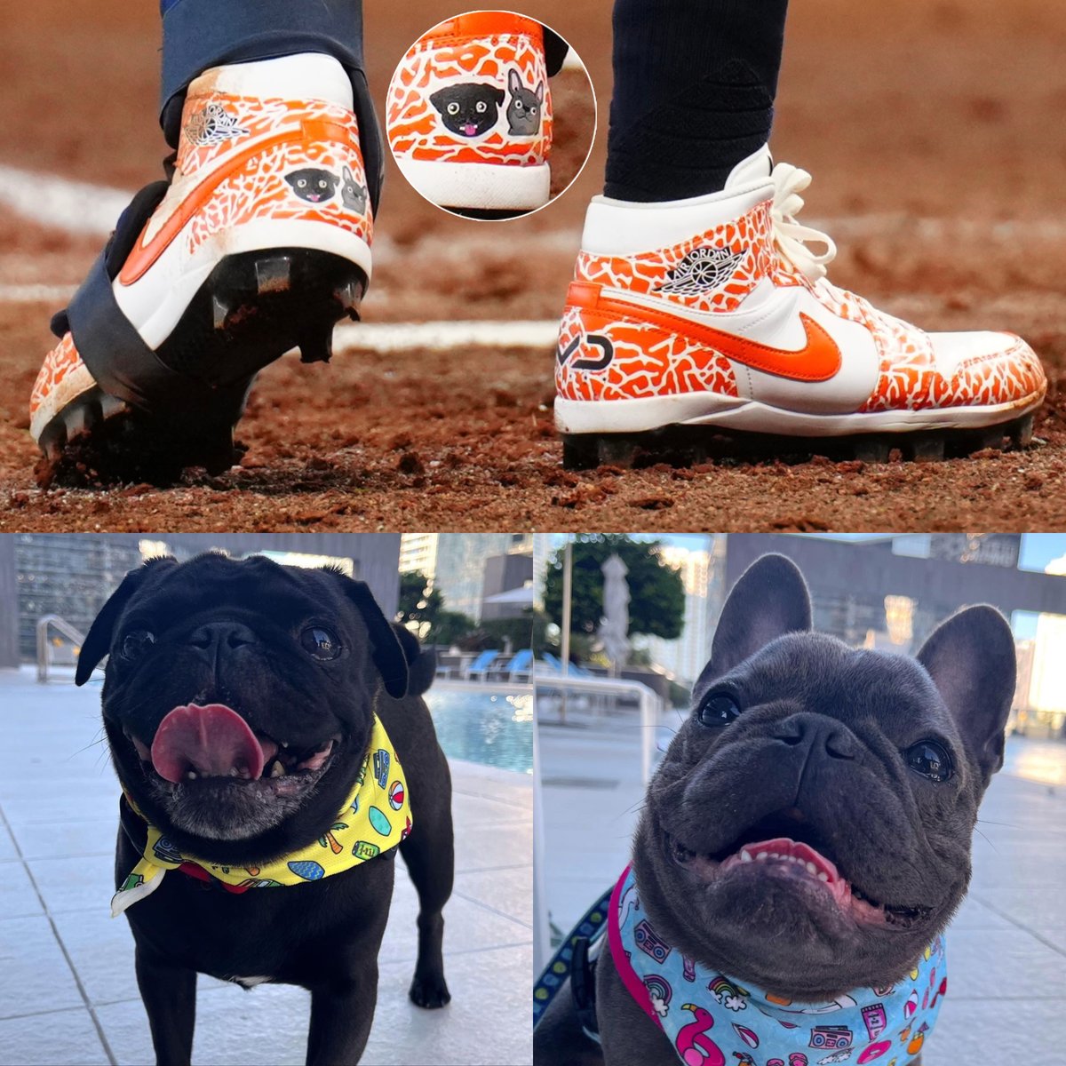 .@Astros player Mauricio Dubón's custom Jordan 1 cleats feature his dogs Marcelo and Cash 🐶