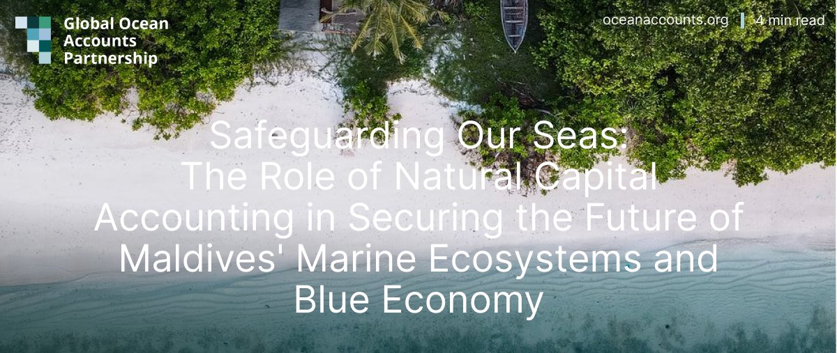 BLOG POST 📰 Pilot testing of the SEEA EA framework for #OceanAccounts at Laamu Atoll, Maldives has provided important use cases for tourism, seagrass & finance. 
4 min read👇
sustainabledevelopmentreform.org/safeguarding-o… #Maldives #sustainabledevelopment #naturalcapitalaccounting
@MoEnvmv