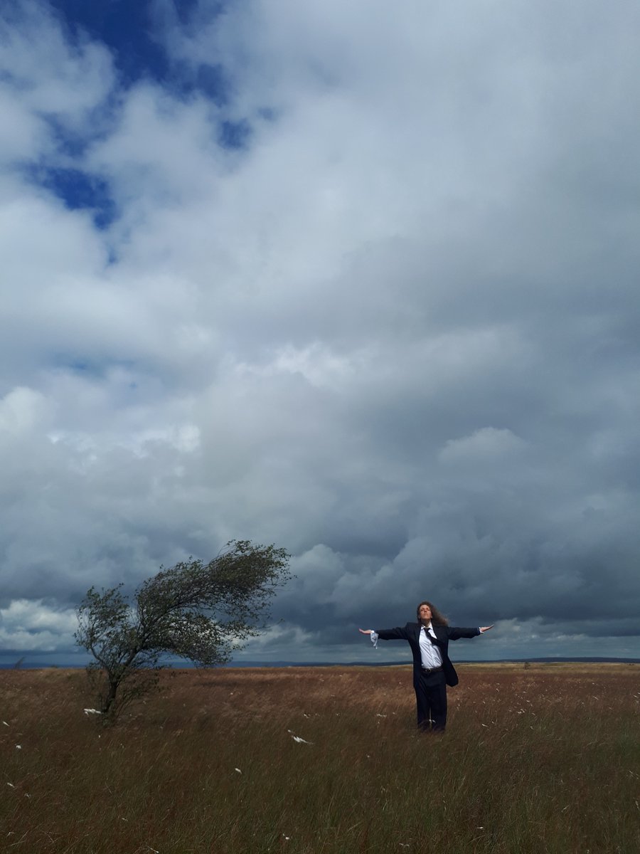 debsnewboldplays tweet media