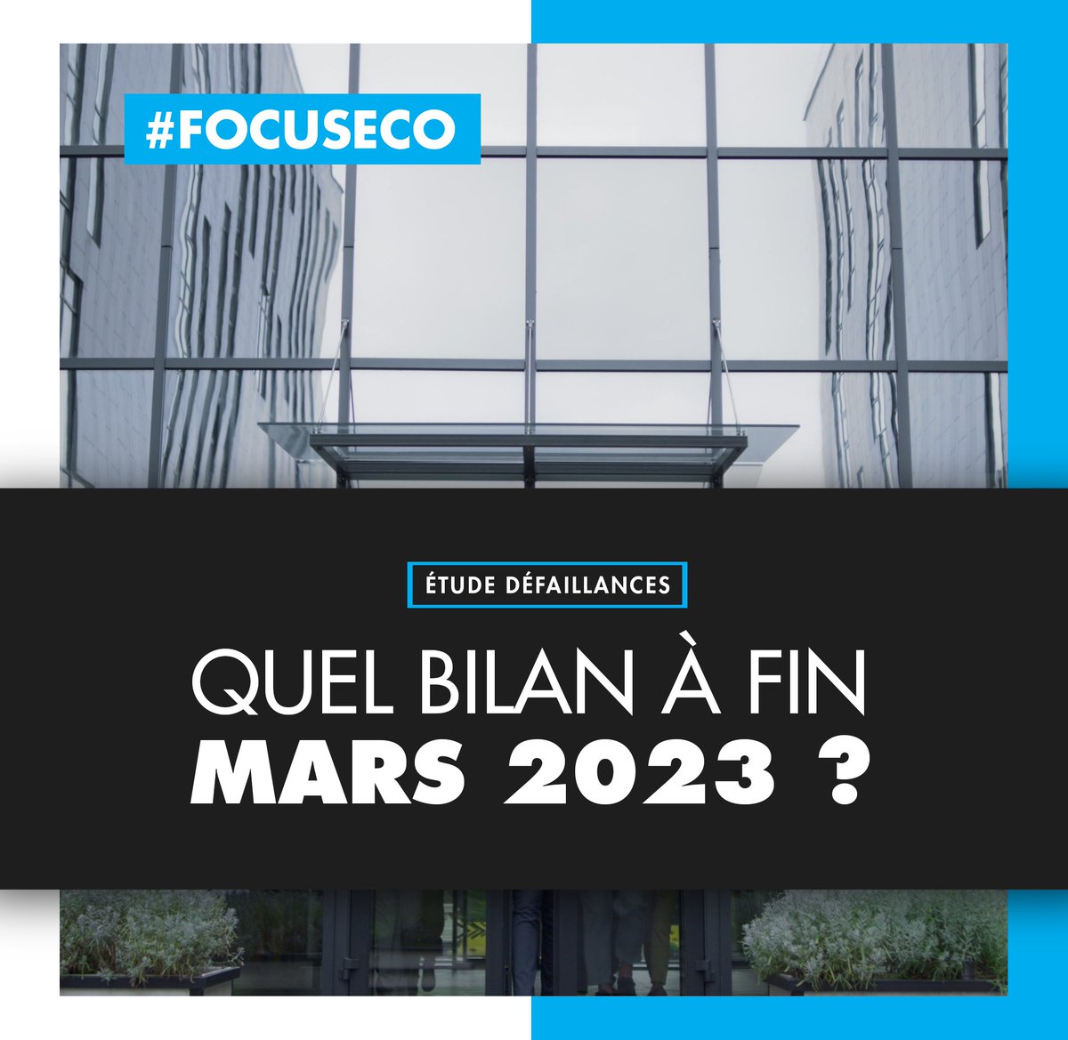 ellisphere's tweet image. #FocusEco 💼
#Procédure #collectives en #France métropolitaine et dans les DROM au premier trimestre 2023. Analyse avec @max_jammot sur les enseignements clés à retenir.
ellisphere.com/quelle-situati…
#etude #economie #dom #defaillance #entreprise