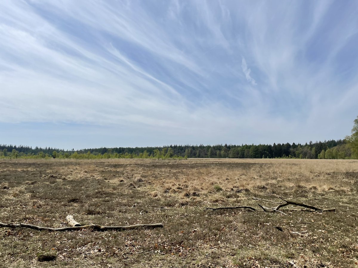 MamaPowerrrr's tweet image. Vandaag het boomkroonpad met een bezoek vereerd
 En daarna 4 km gelopen! #DatWasHeerlijk. Nu zitten moeders en zoonlief lekker te smullen en ben ik maar gauw weer gaan lopen, kan de verleidingen even niet aan #Stom #Afvallen #Dietist #Eten #Ongezellig