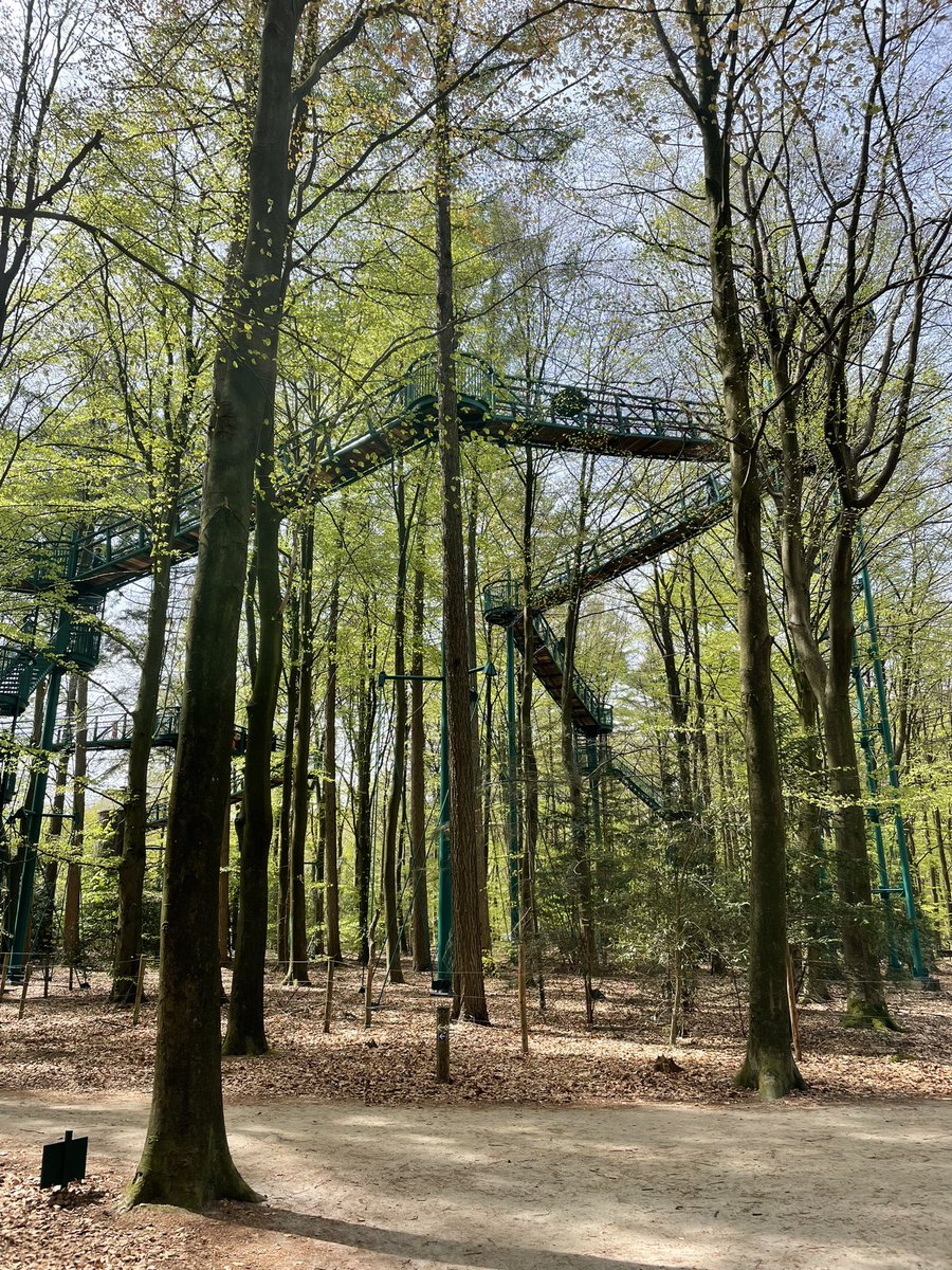 MamaPowerrrr's tweet image. Vandaag het boomkroonpad met een bezoek vereerd
 En daarna 4 km gelopen! #DatWasHeerlijk. Nu zitten moeders en zoonlief lekker te smullen en ben ik maar gauw weer gaan lopen, kan de verleidingen even niet aan #Stom #Afvallen #Dietist #Eten #Ongezellig