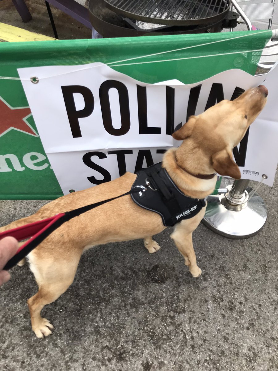 Andy Martin tweet media