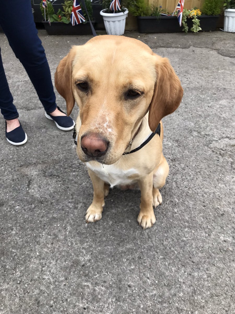 Andy Martin tweet media