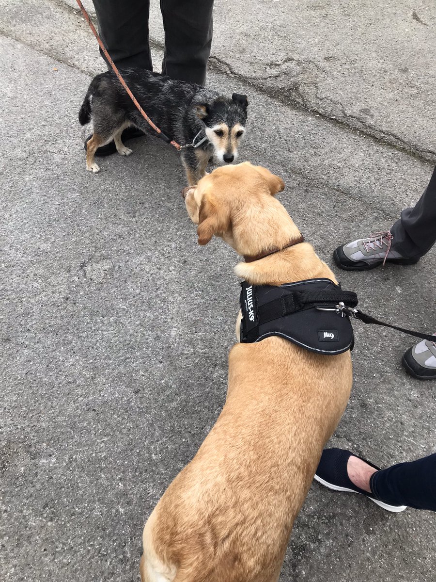 Andy Martin tweet media