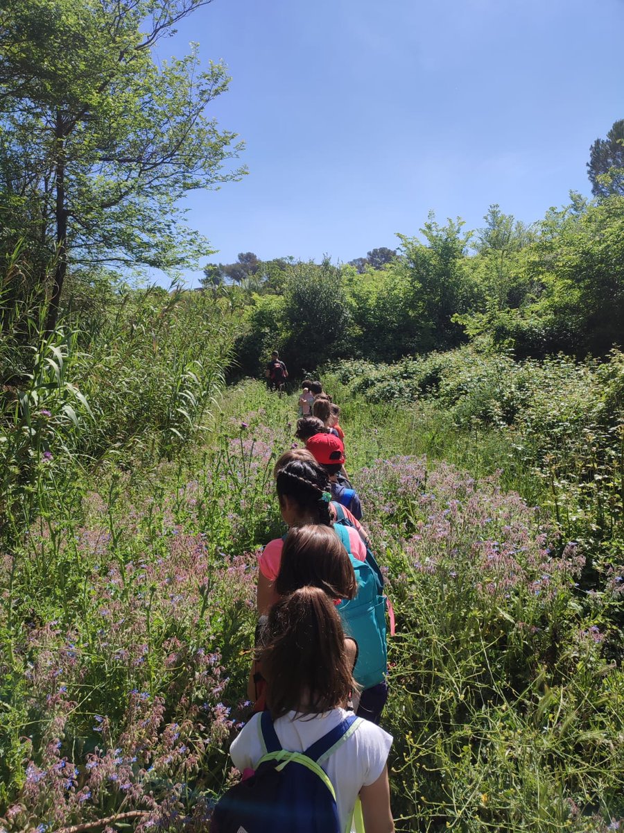 ECollserola's tweet photo. Avui els nens i nenes de 1r vam fer l'activitat "Visitem els parcs" amb el biòleg Pau. Hem gaudit de la natura i del nostre entorn!
#visitem #escolacollserola #natura #santcugat #comunitatmitjans https://t.co/Qflvi67ScS