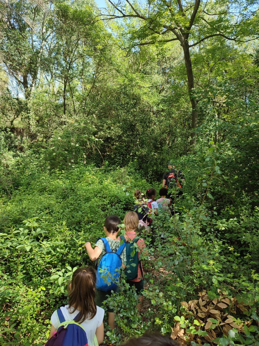 Avui els nens i nenes de 1r vam fer l'activitat "Visitem els parcs" amb el biòleg Pau. Hem gaudit de la natura i del nostre entorn! 

#visitem #escolacollserola #natura #santcugat #comunitatmitjans