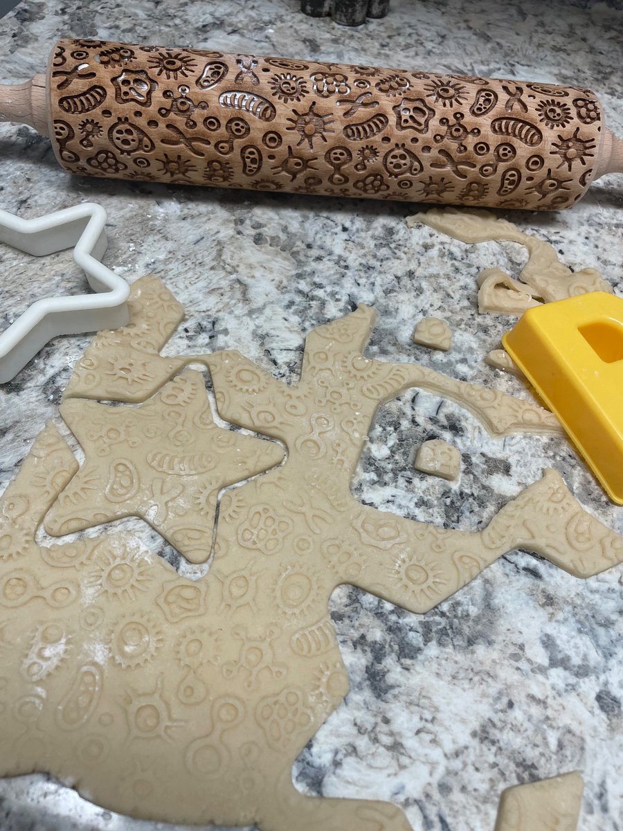 esquilin_k's tweet photo. End of the semester microbe themed cookies! 👩🏽🍳 #bakingtherapy
thanks @JoeTCJ for the awesome #SecretSerratia gift :) https://t.co/kRiQWXM1qn