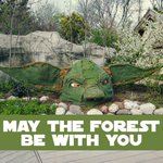 Photo by MetroParks (@MetroParksTweet)