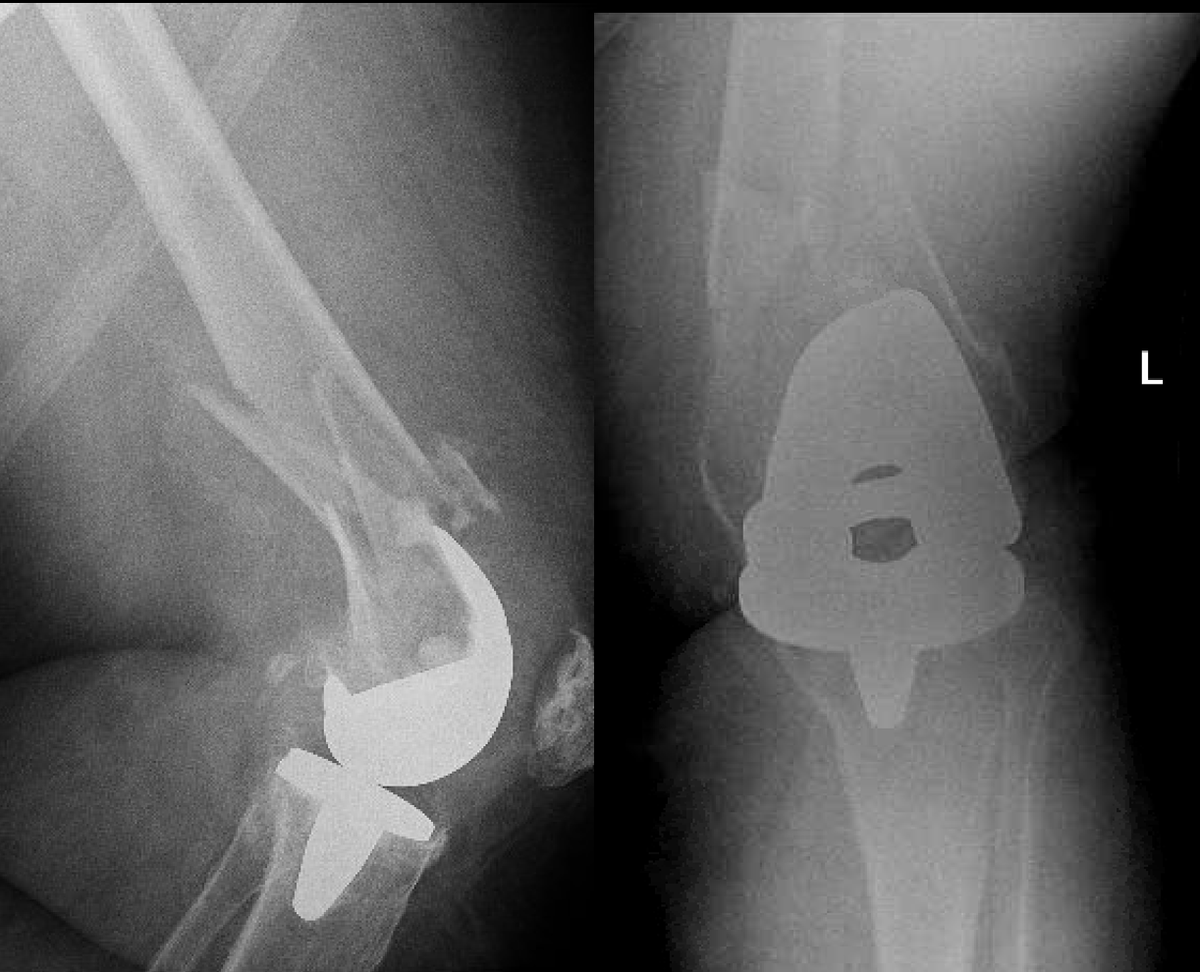 Ortho Reviews tweet media