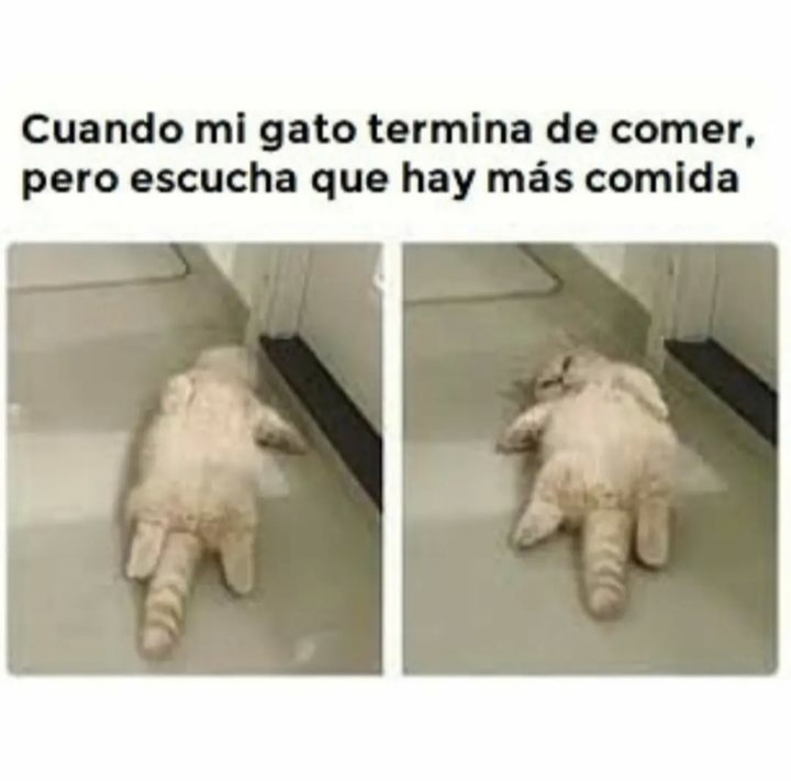 Asi esta Locoh en estos dias 🙃 o no Zuly 😊

<a href="/ZulyYT/">Zuly YT ⭐ StarCode: ZULYYT⭐</a>