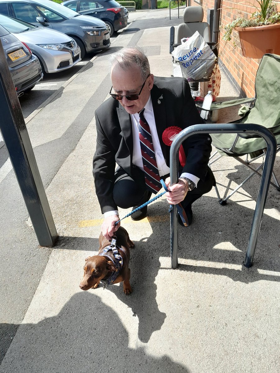 BBHowarth's tweet photo. #dogsatpollingstations Oscar's first voting day in Clowne Derbyshire https://t.co/aiK9kEjhMQ