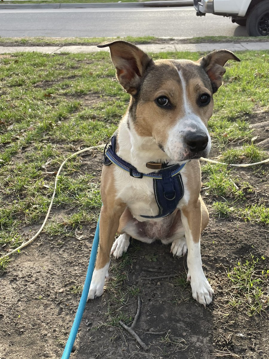 Dr. Cara Burberry, PG tweet media