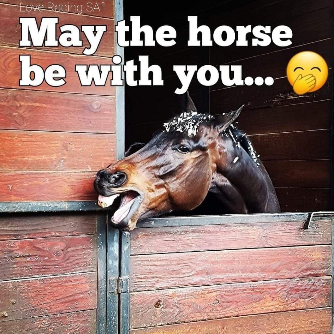 Happy Star Wars Day! 

#maythefourth #maythe4thbewithyou #maytheforcebewithyou #maythefourthbewithyou #starwarsday