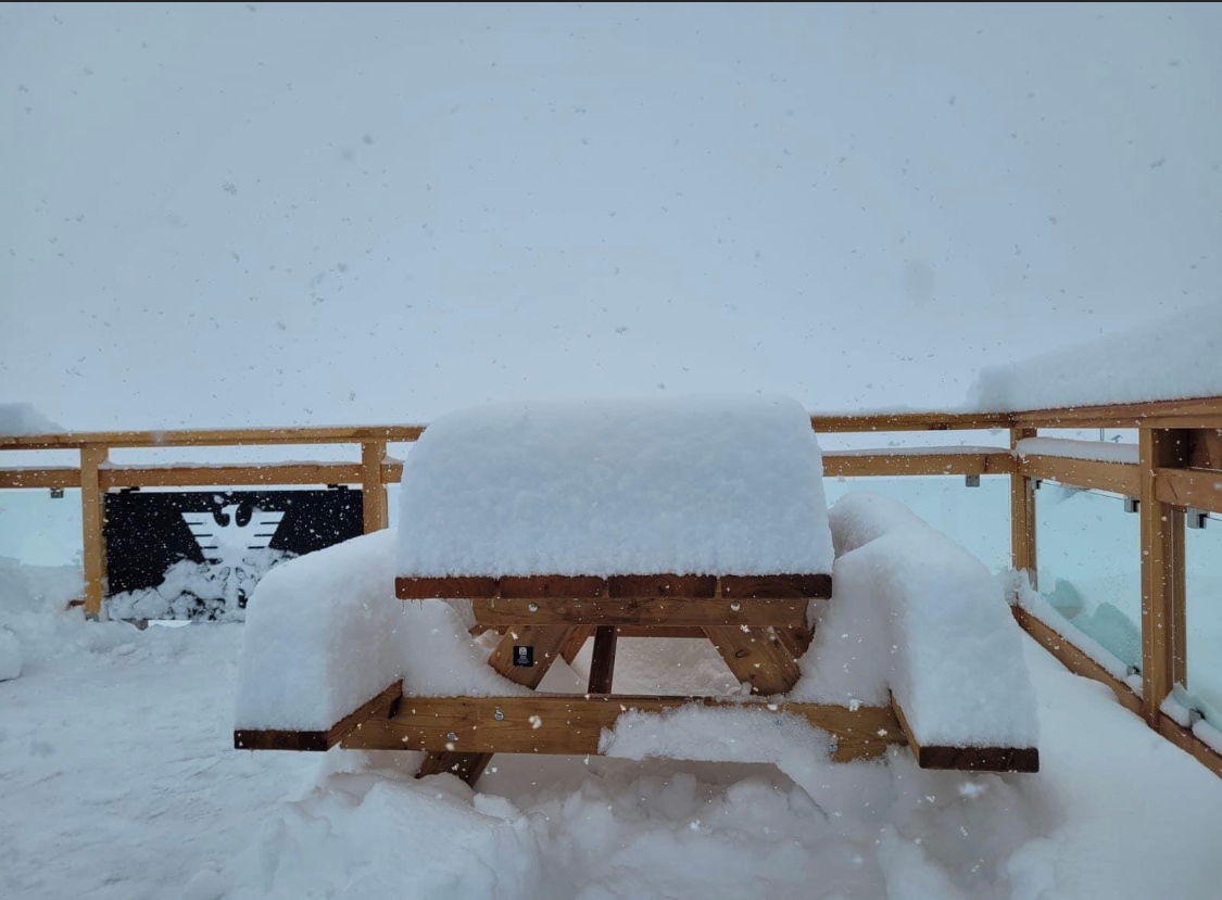 InTheSnow Magazine tweet media