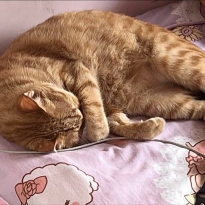 lin_sydcp's tweet photo. #NewProfilePic (新個人資料照片) https://t.co/CaeZvIu6gr