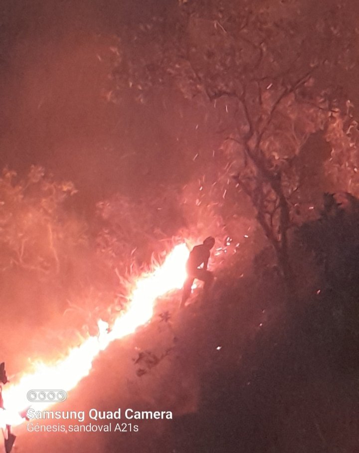 pcmbi's tweet photo. El Trabajo del #Forestal Consiste en Ordenar el CAOS, pero para ello Debes Saber Manejarte Dentro de él, Sumergirte en él, Dominarlo, Conocer sus Límites… A fin de Cuentas por eso #PRACTICAS, por eso #ENTRENAS y por eso #ESTUDIAS #FelizDiaInternacionaldelCombatientedeIncedio 🔥 https://t.co/okgXgyDf05