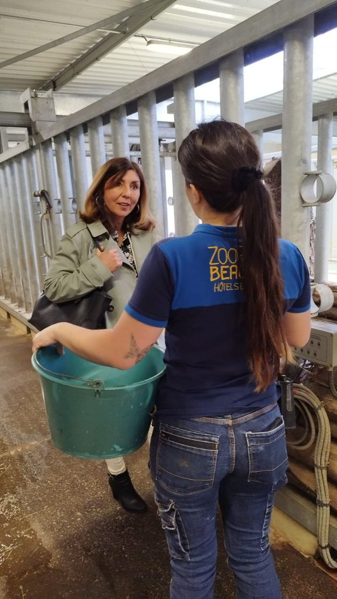 CorinneVignon's tweet photo. #Animaux🐒
Incroyable visite du @zoobeauval à l'invitation du directeur M. Delord, aussi président de l'Association Française des Parcs Zoologiques
🦓Découverte de l'arrière scène avec la rencontre des soigneurs, parcours des loges de nuit des animaux et du centre de soins
#AFdPZ https://t.co/kZ5R9P5xJy