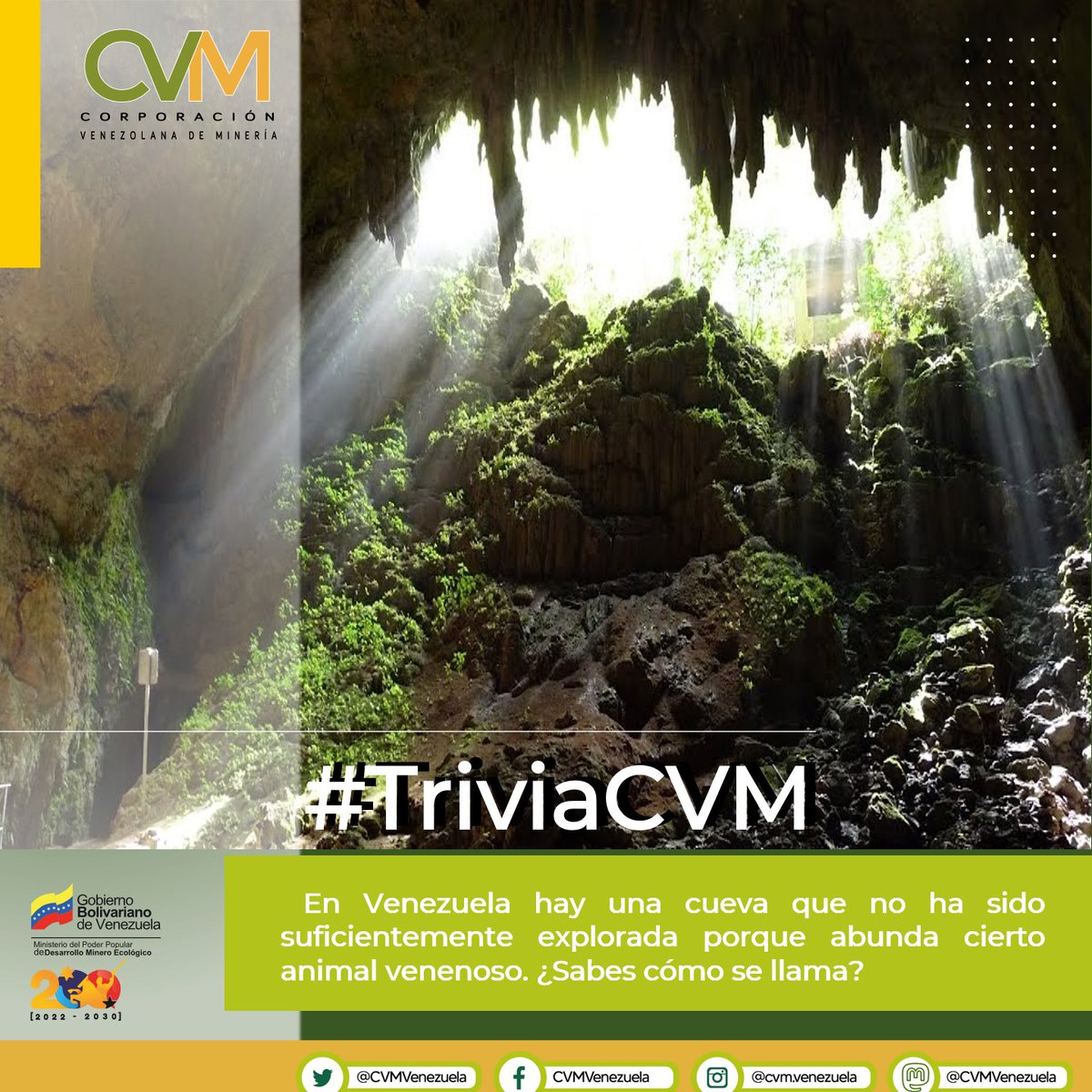cvm_ve's tweet photo. #TriviaCVM || En Venezuela hay una cueva que no ha sido suficientemente explorada.
Esto se debe a que abunda una especie venenosa que dificulta estas labores.
¿Sabes de qué cueva se trata?
#4May
#LaSiembraPetrolera https://t.co/XlLIqirbKv