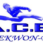 Photo by Paul Cutler (@PC_TaekwonDo)