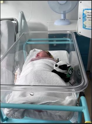 This new little arrival on Tuesday was extra special - our first baby born and registered on BadgerNet 👶

York Hospital midwives are now using BadgerNet software to document births 🦡

@BadgernetUK <a href="/HNYPartnership/">Humber & North Yorkshire Health & Care Partnership</a> <a href="/yorkpress/">The Press</a>
