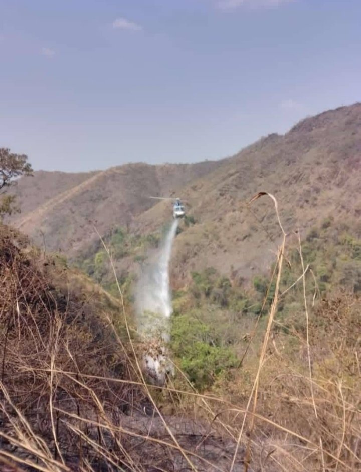 Forestales_13's tweet photo. El Trabajo del #Forestal Consiste en Ordenar el CAOS, pero para ello Debes Saber Manejarte Dentro de él, Sumergirte en él, Dominarlo, Conocer sus Límites… A fin de Cuentas por eso #PRACTICAS, por eso #ENTRENAS y por eso #ESTUDIAS #FelizDiaInternacionaldelCombatientedeIncedio 🔥 https://t.co/Cqjf98CSmA