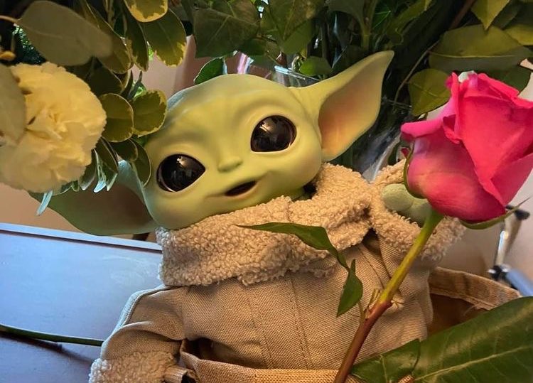 Cineilimitado's tweet photo. ¡Feliz #StarWarsDay a todos los que lo celebran a lo Baby Yoda! #MayThe4thBeWithYou https://t.co/e0Oso2K7Vz